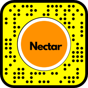 Nectar Snapchat Lens
